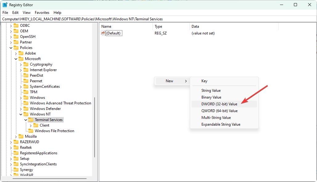 adding new dword 32 bit value terminal services windows nt reg edit