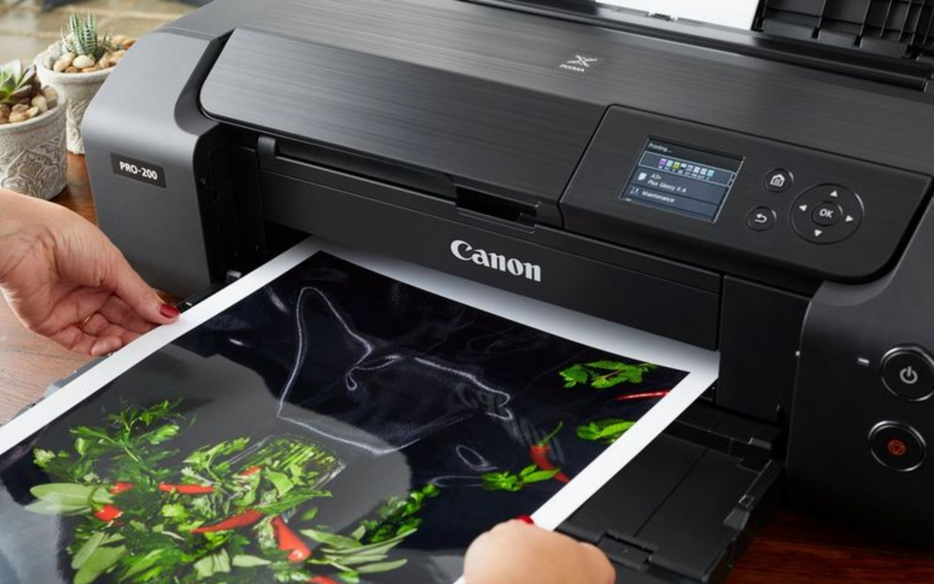 canon pixma 490 printer not responding