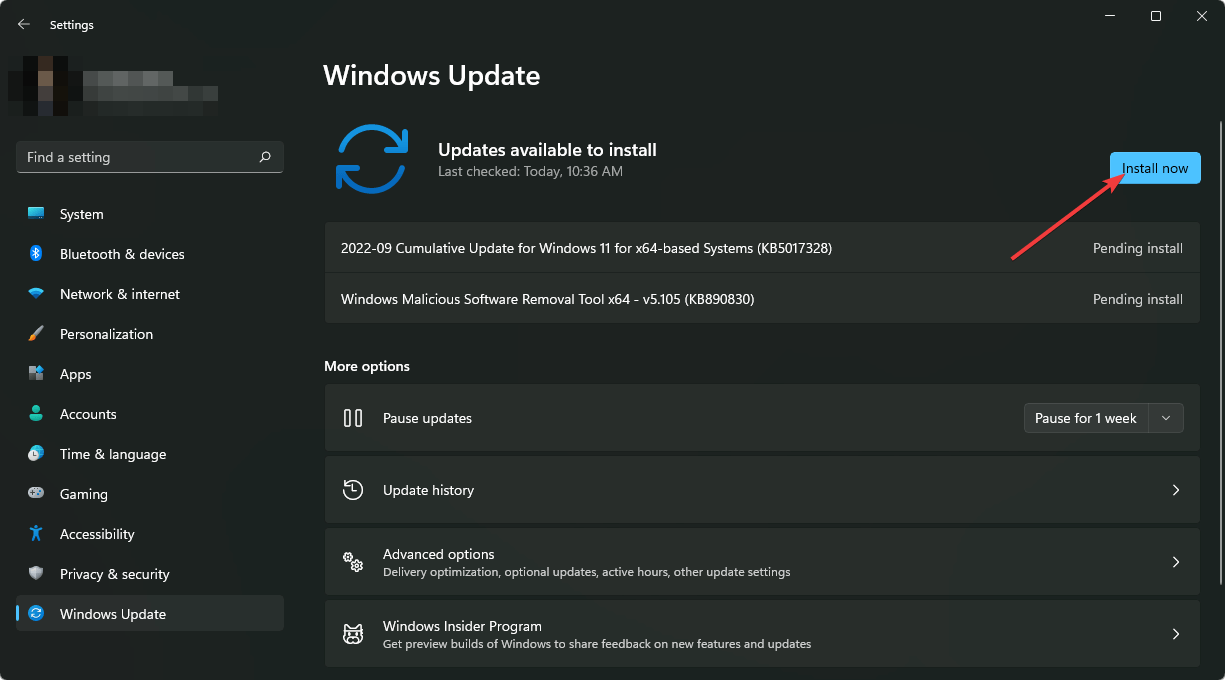 clicking install Windows Update