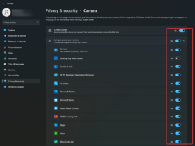 Camera Settings Are Grayed Out? 5 Ways To Get Them Back