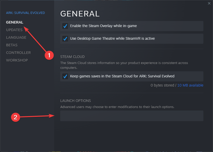 launch options in the steam