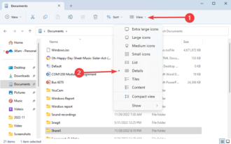 Find and Delete Duplicate Files in Windows 11 [3 Easy Steps]