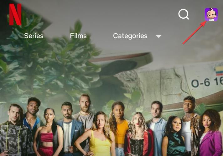 Netflix users profile