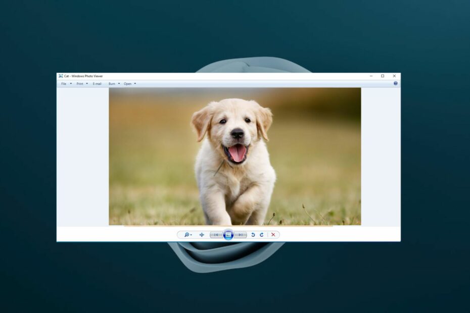 full screen windows photo viewer