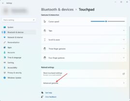 touchpad gestures not working in windows 11