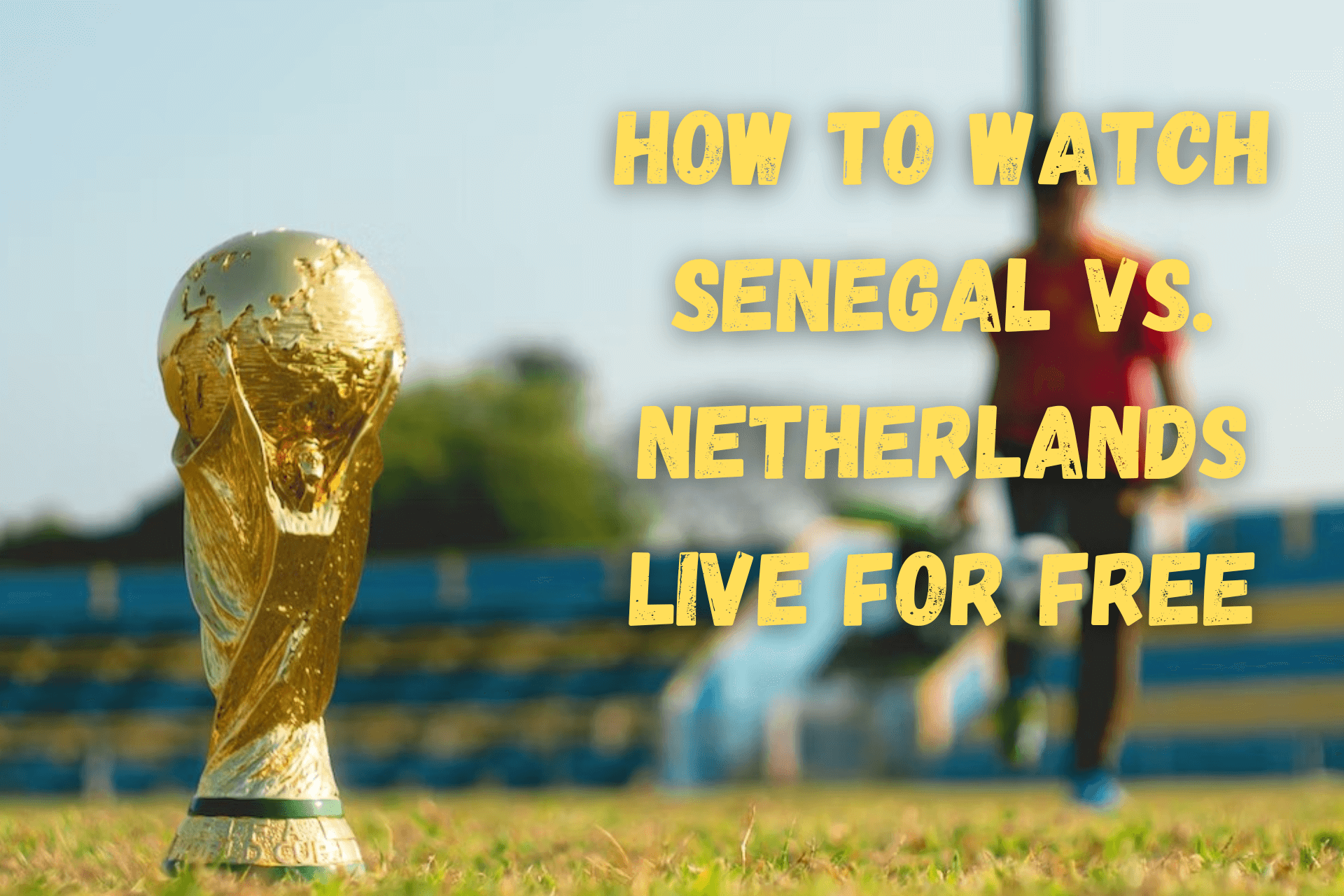watch Senegal vs. Netherlands live