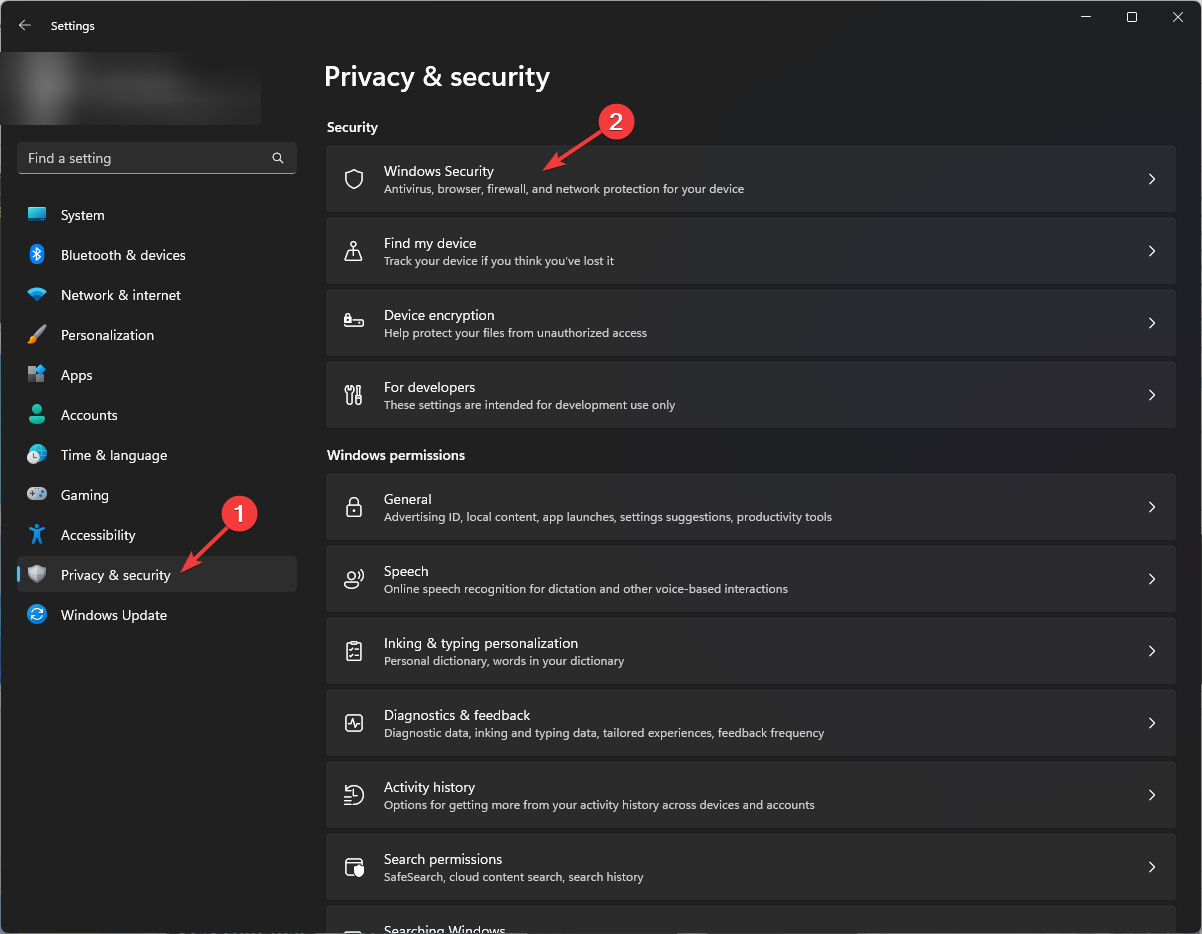 Privacy Security - WIndows security