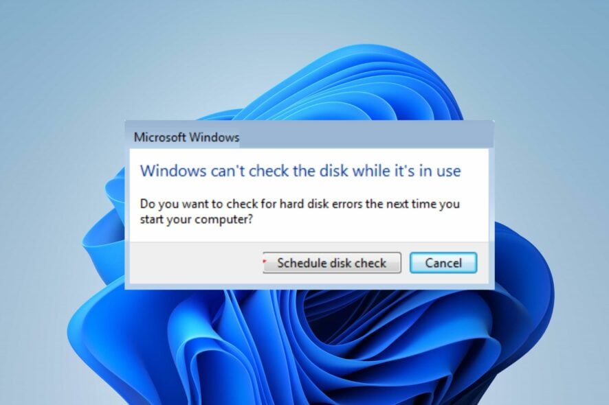 windows can't check the disk while it's in use force a dismount