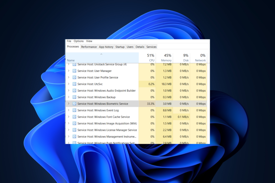 Windows Biometric Service High CPU