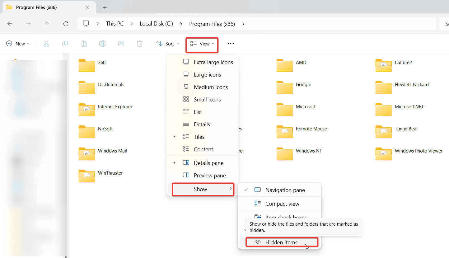 show hidden items in file explorer