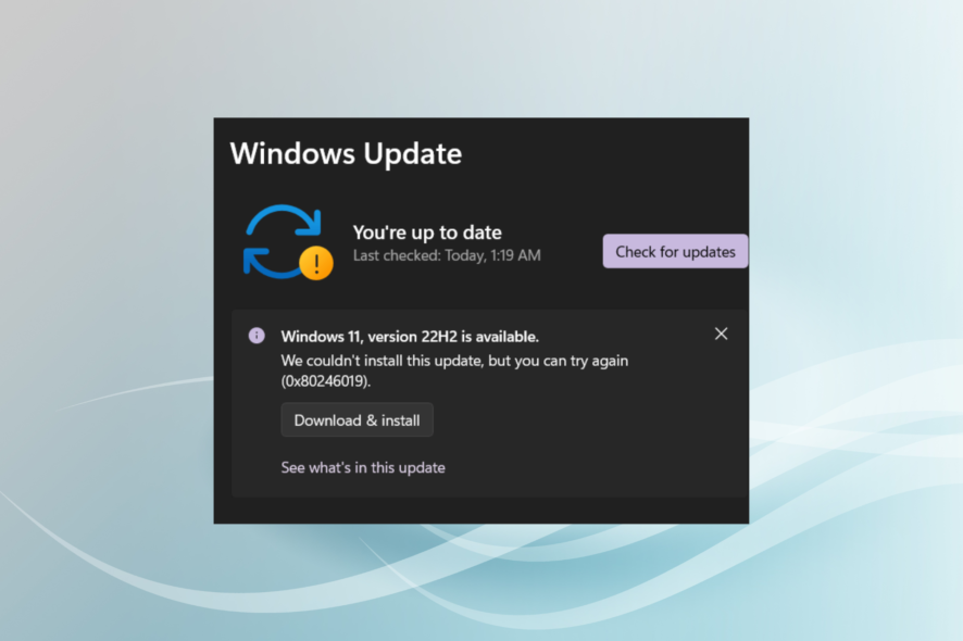 fix Windows update error 0x80246019