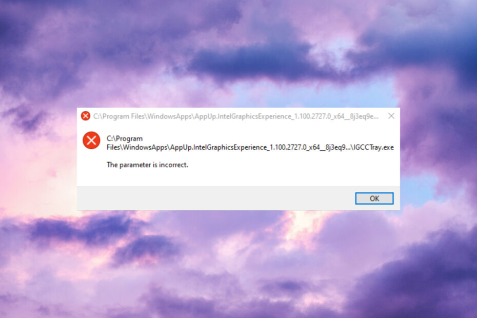 Igcctray exe что это за папка windows 10