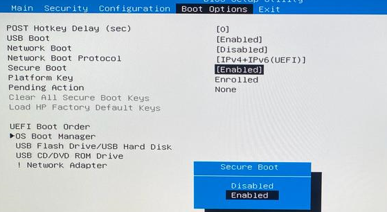 Secure boot -secure boot enabled but not active windows 11