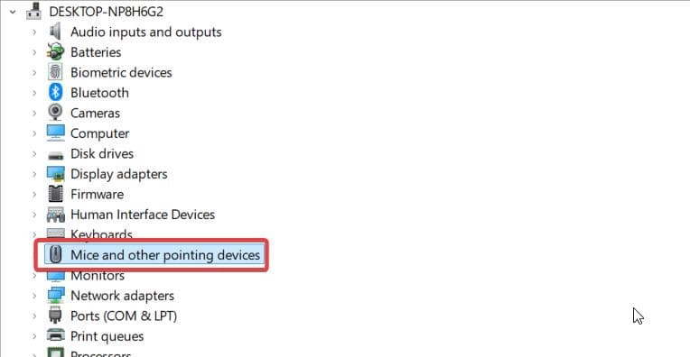 mice and other pointing devices