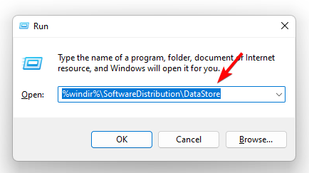 open windws update download folder