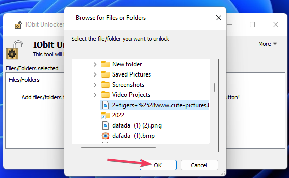 Browse for Files window unlock file windows