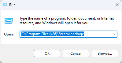 Package -failed to load steamui.dll