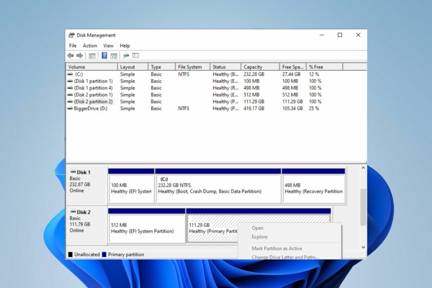 dual boot on separate hard drives