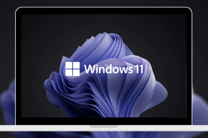 beta windows 11