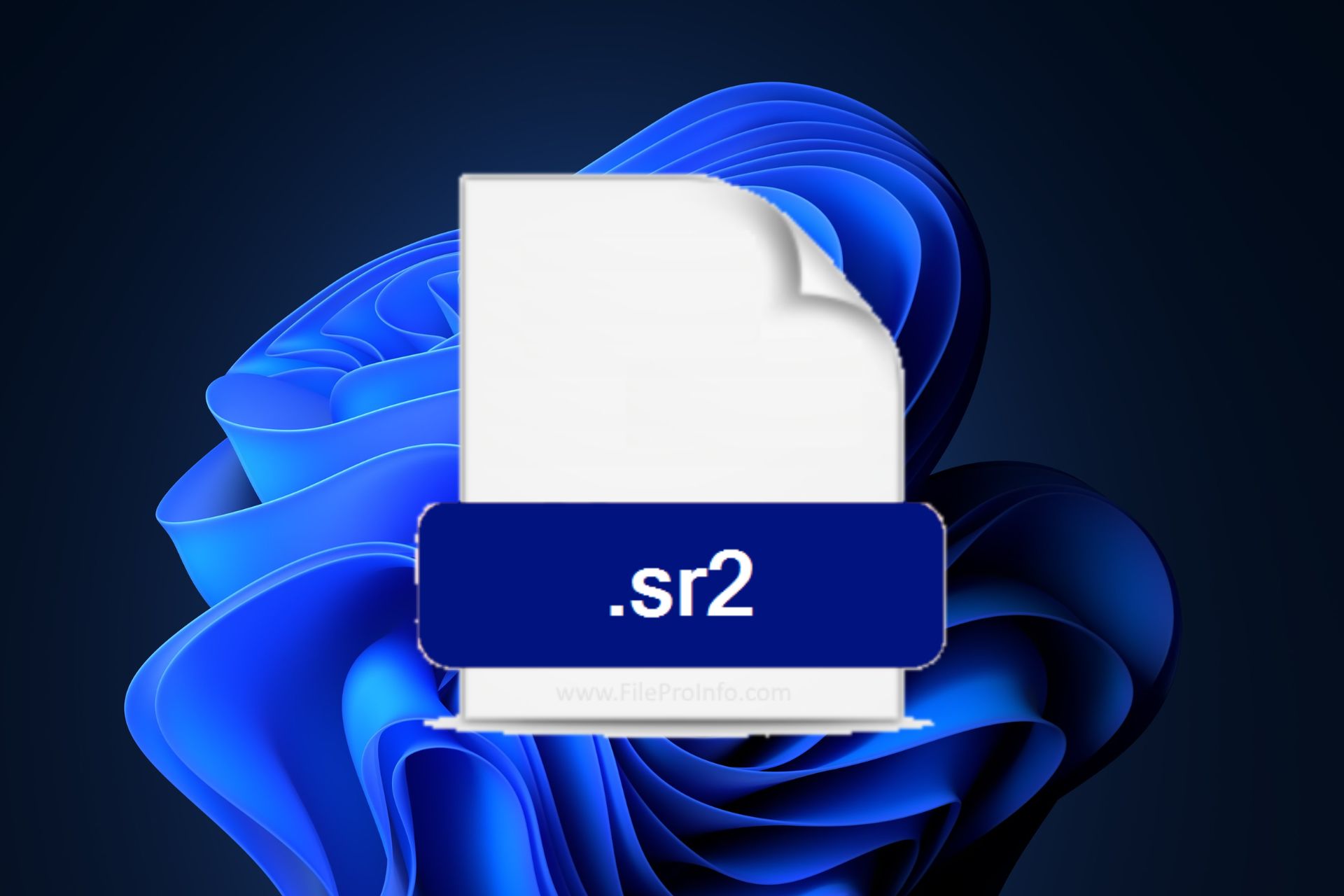 sr2 file