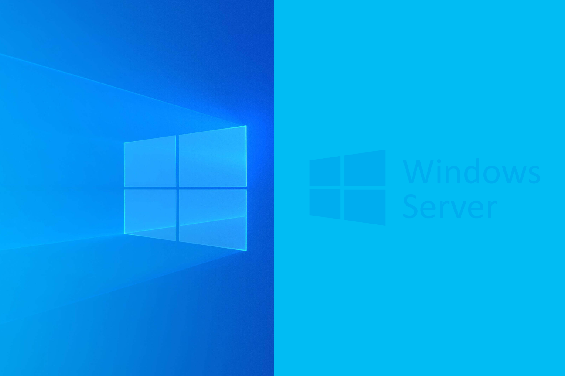 Windows vs Windows Server