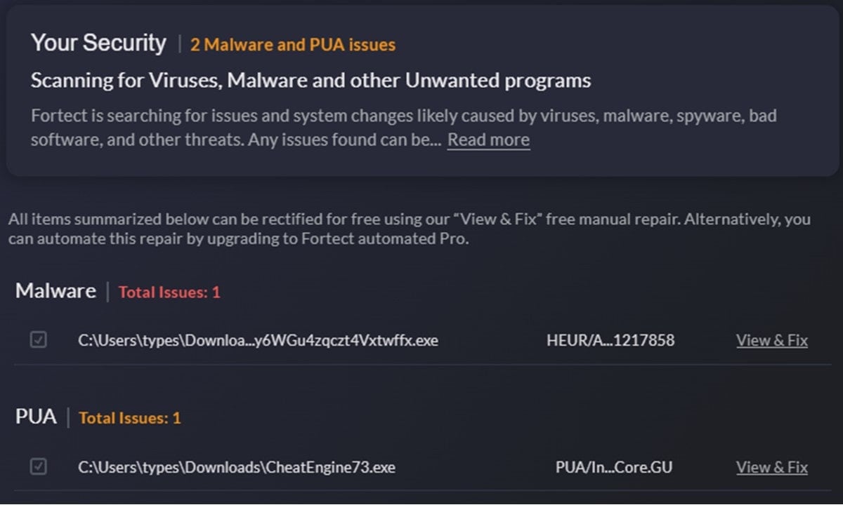 Fortect Malware and PUA