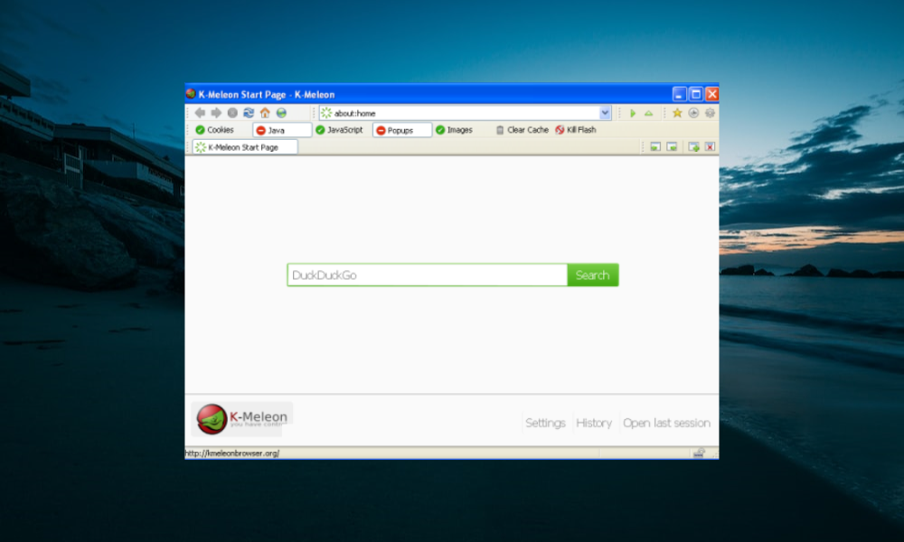 10 Best Browsers that Work with Windows XP in 2023 - 49
