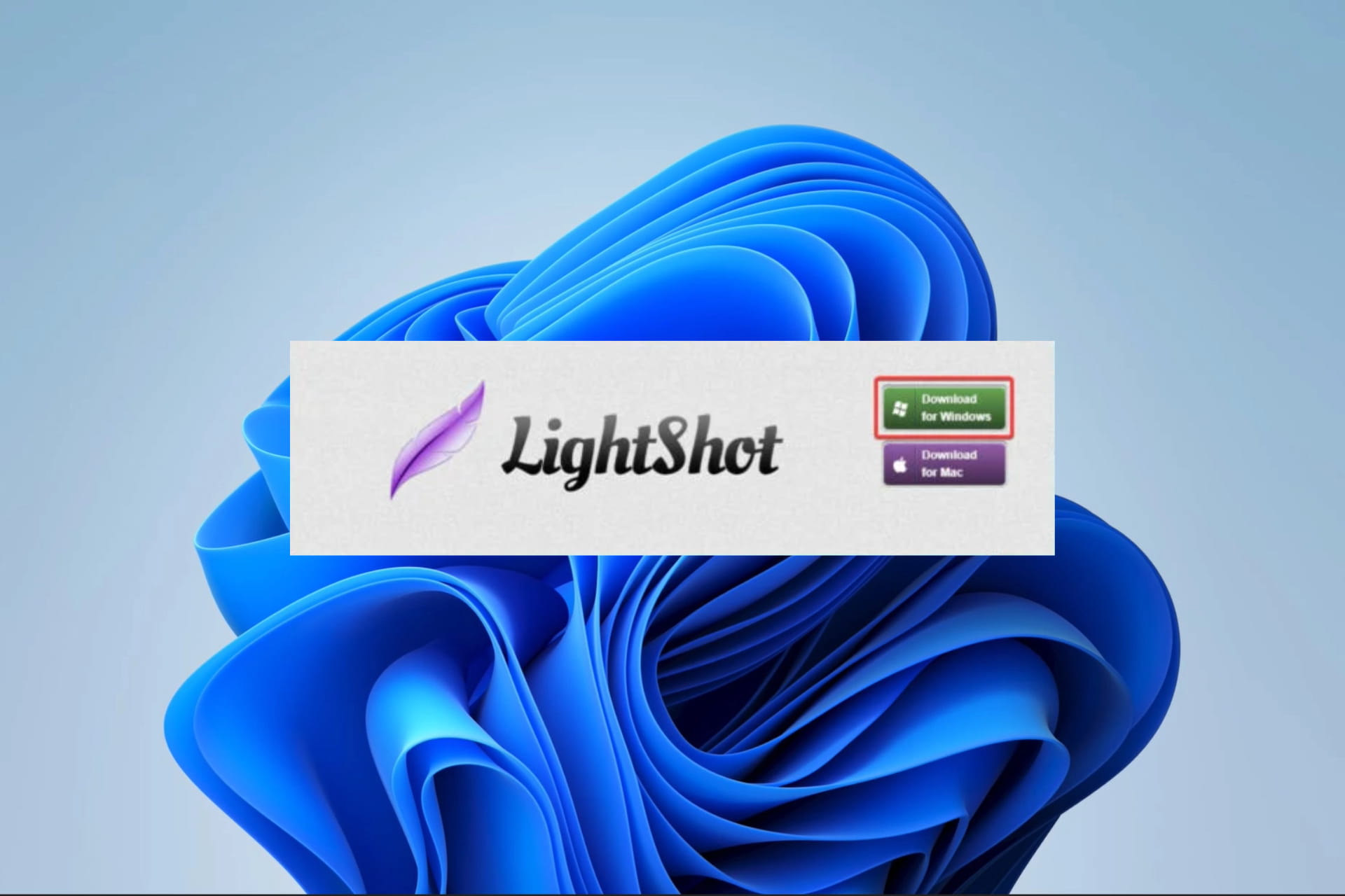 lightshort