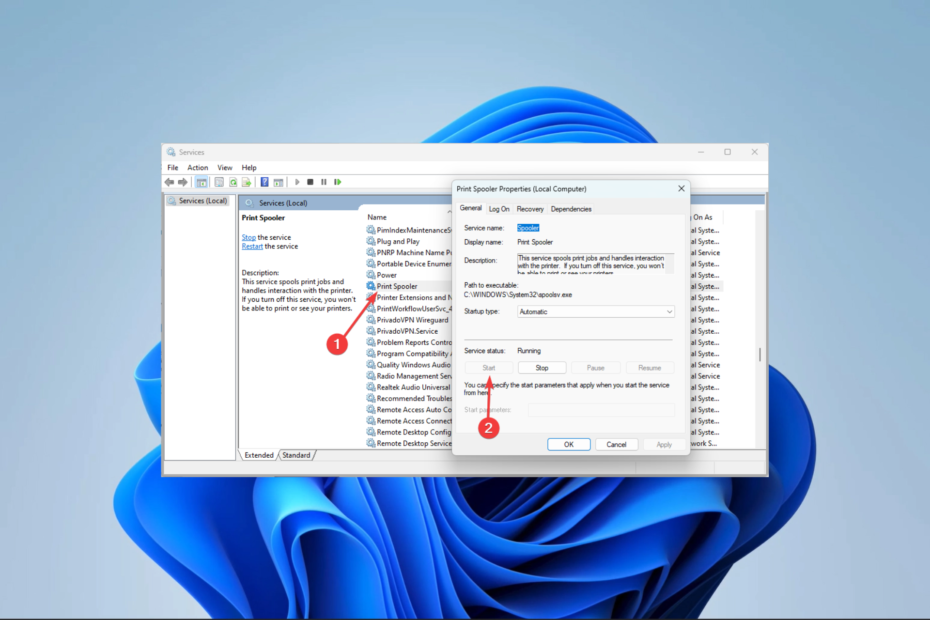 0x00000040 Printer Error: How to Fix It on Windows 10 & 11