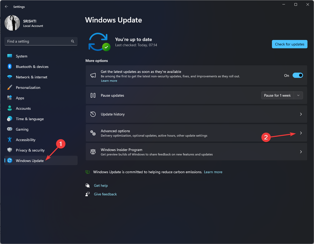 Windows Update Advanced options