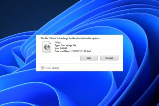 Fix: The File is too Large For The Target File System