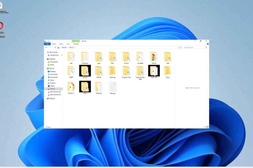 black squares behind folder icons