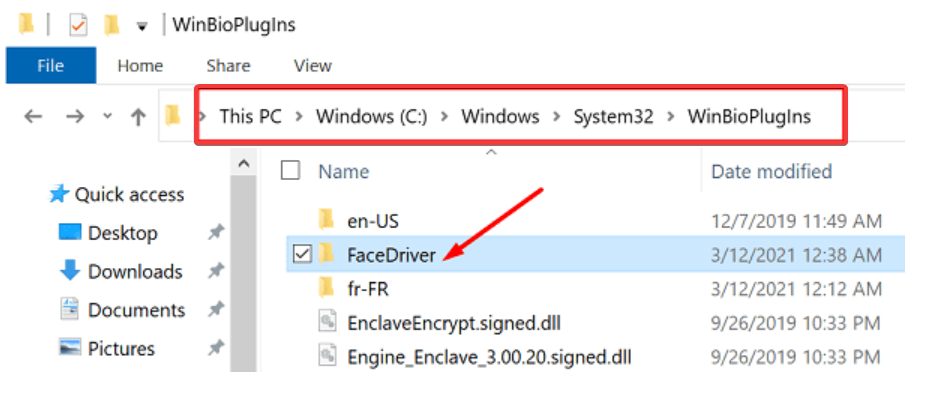 facedriver konnte keine mit Windows Hello Face kompatible Kamera finden