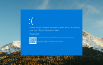 NETwsw02.sys BSoD