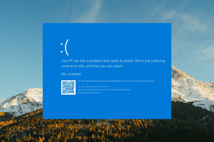 NETwsw02.sys BSoD