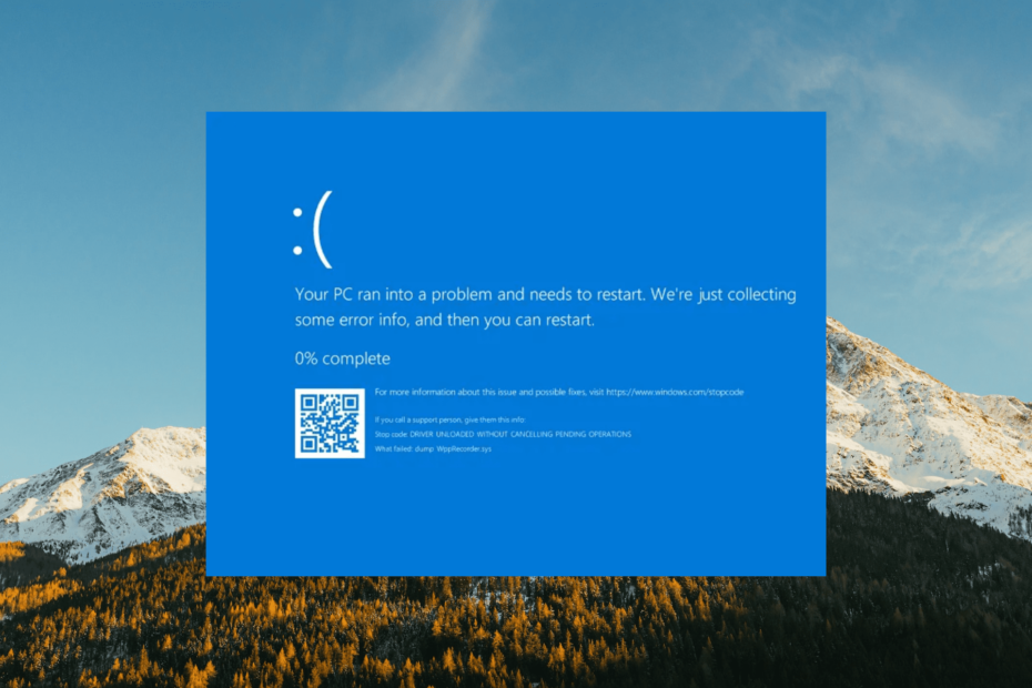 NETwsw02.sys NETwsw02.sys BSoD Error: 5 Ways to Fix it