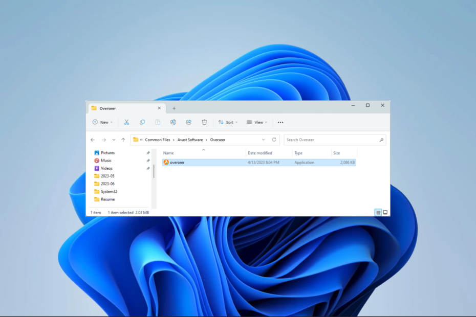 What is Overseer.exe & How to Get Rid of It?
