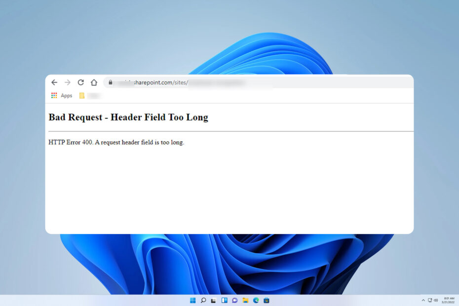 bad-request-header-field-too-long-error-fix