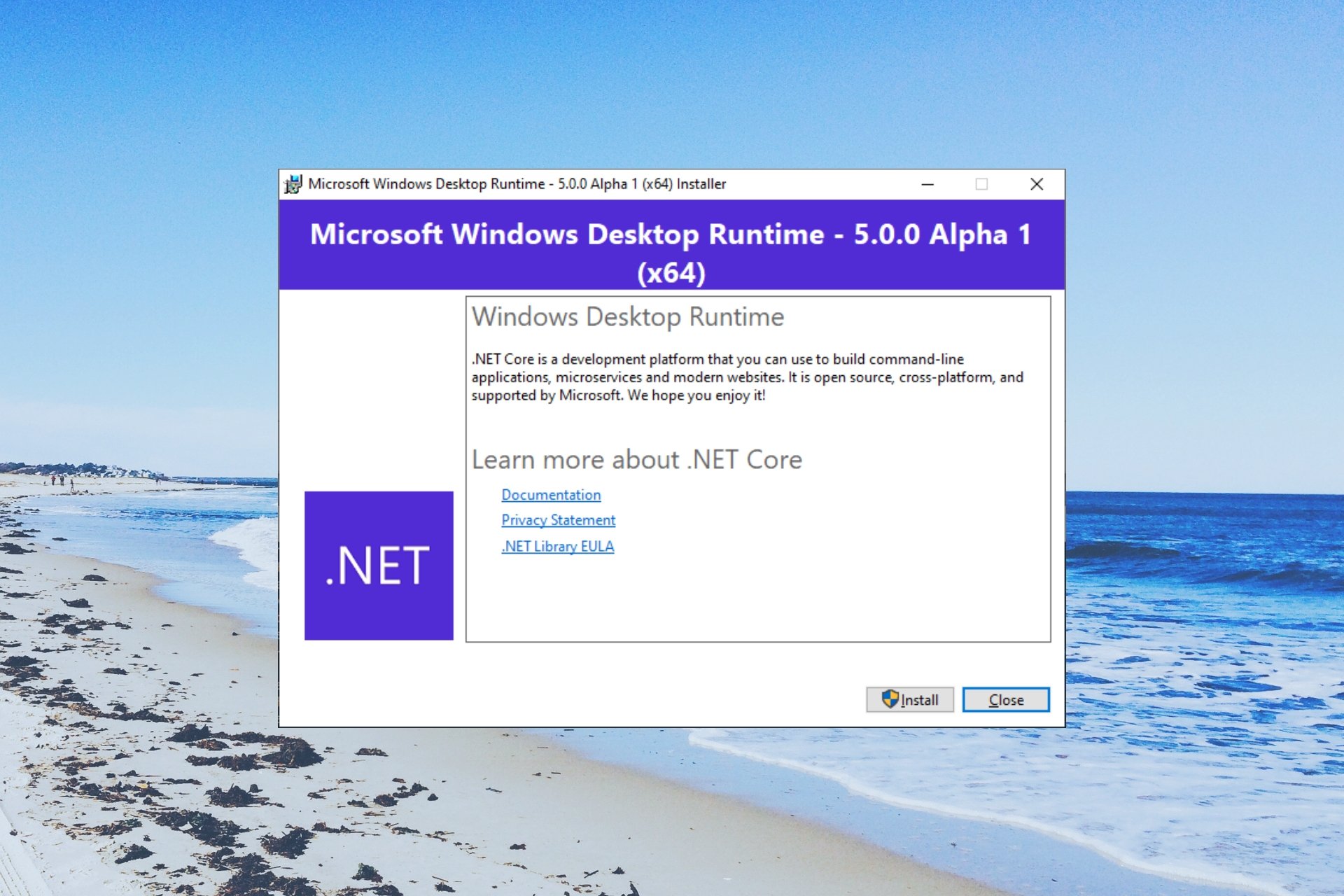 What is Microsoft Windows Desktop Runtime?