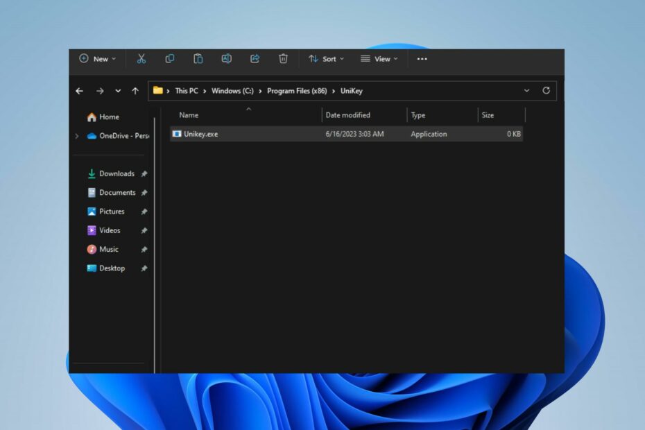 What is unikey exe what is it used for 