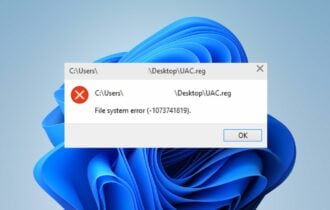 fix File System Error (-1073741819)