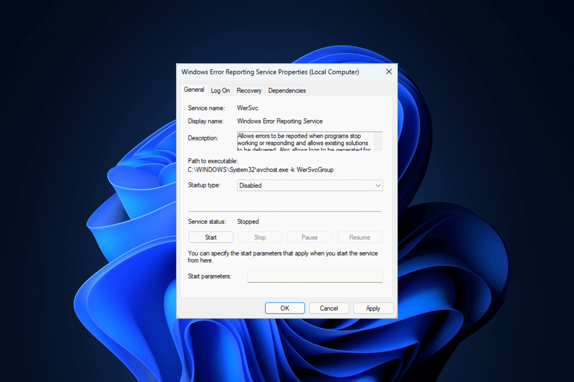 Windows 11 の画面が常に更新される (1)