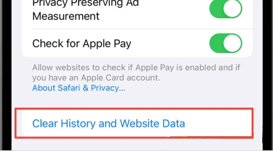 ios clear history and website data