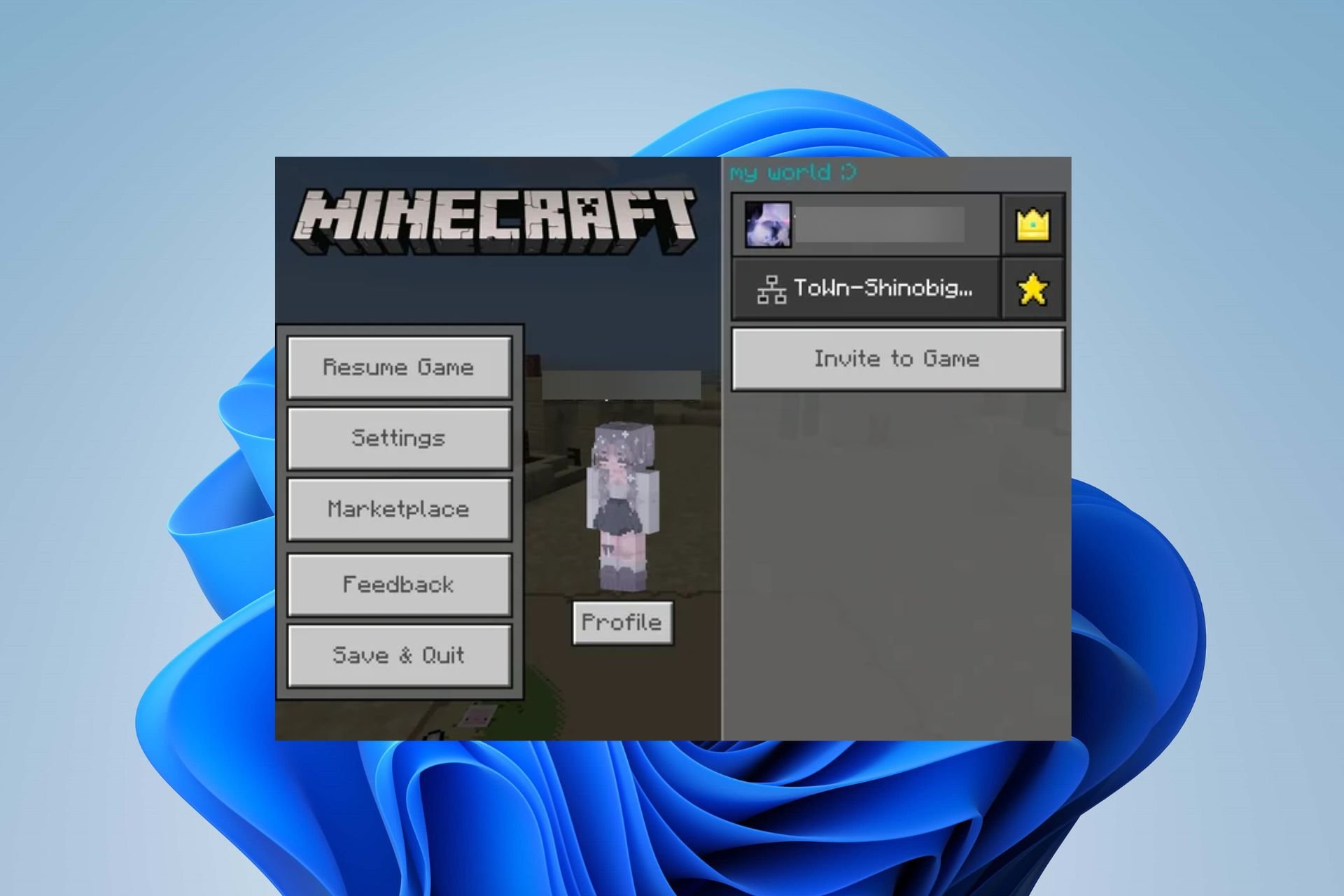 fix minecraft not adding friends