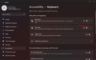 How to Turn On or Off Filter Keys on Windows 11