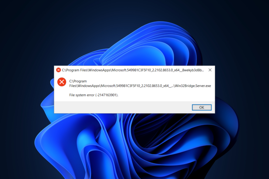 File System Error (-2147163901) on Windows 11