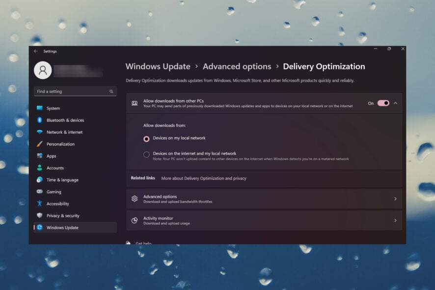 What are Delivery Optimization files on Windows 11