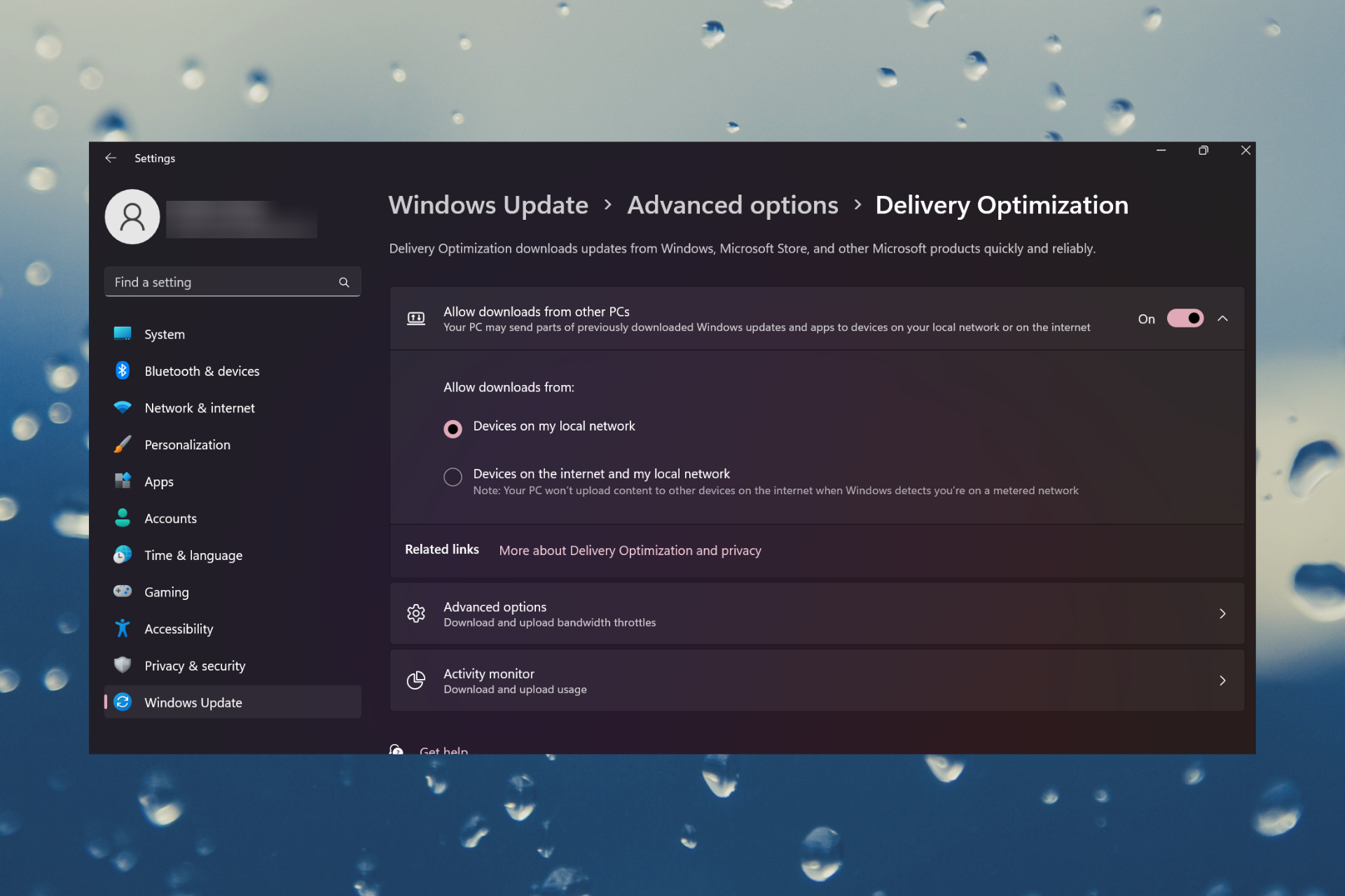 What are Delivery Optimization files on Windows 11
