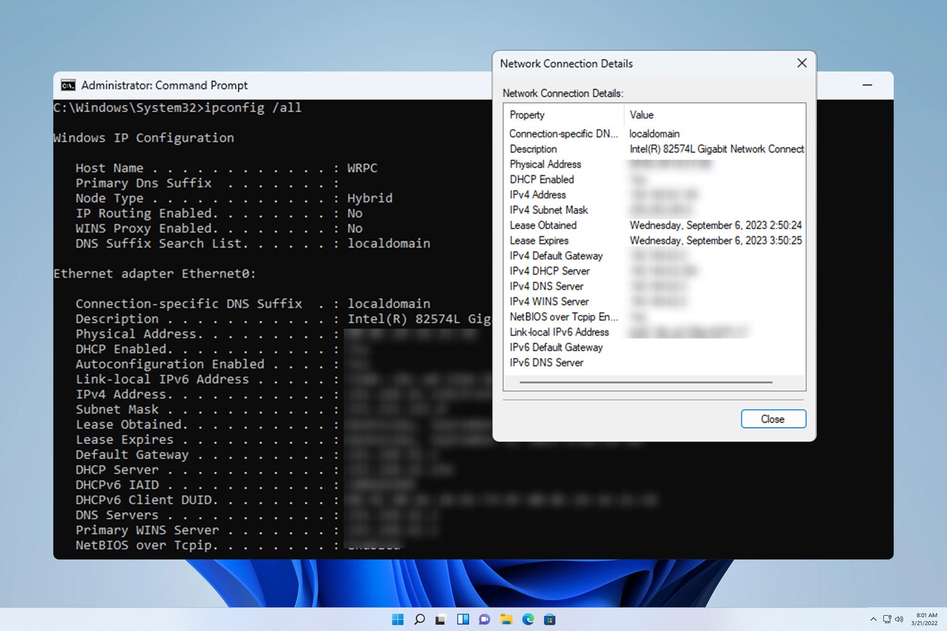 how-to-check-network-connection-details-status-on-windows-11