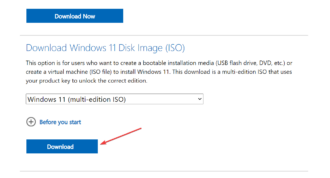 Windows 11 23H2: How to Download the Official ISO